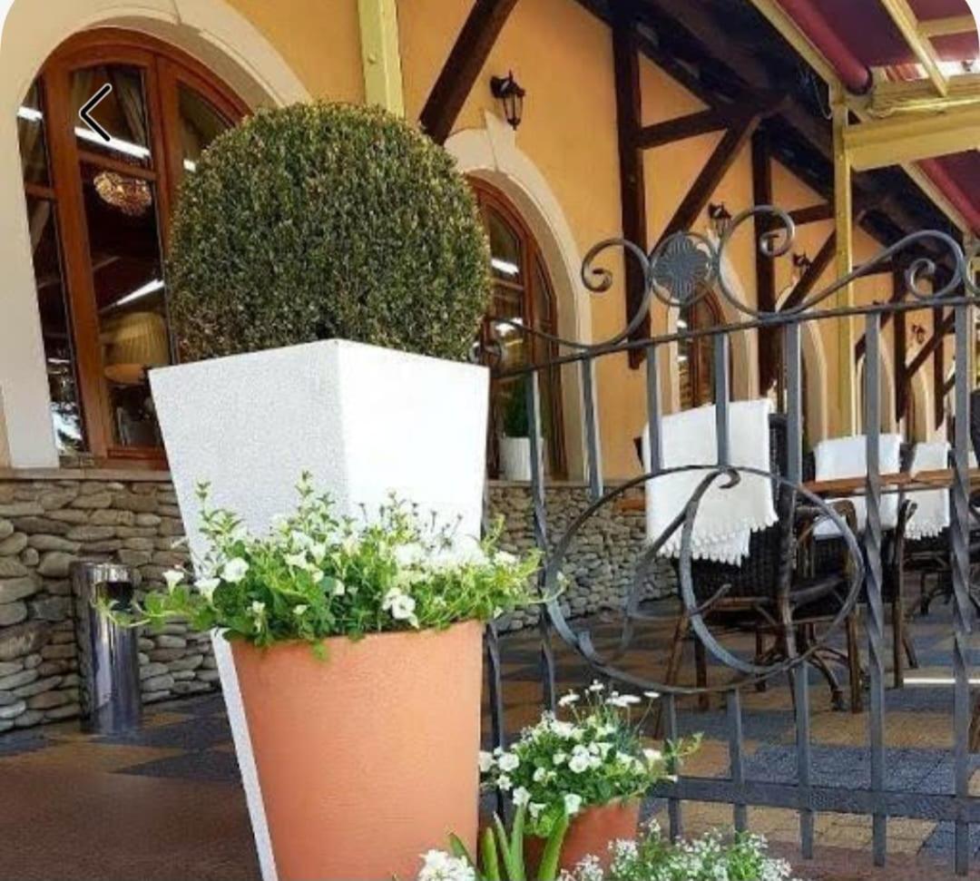 Hotel U Pietrzaków Zielonka  Exterior foto